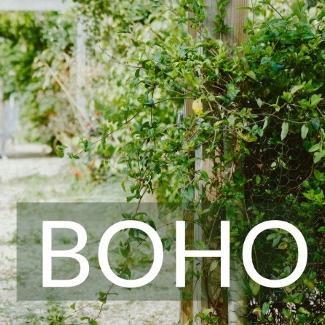 BOHO